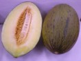 Melón piel de sapo